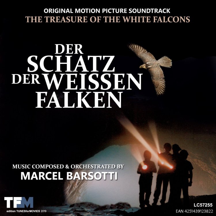 DER SCHATZ DER WEISSEN FALKEN Cover.jpg